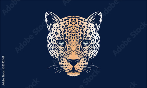 jaguar face on dark background