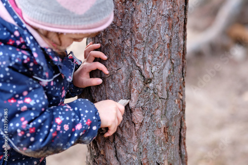 Close-up of a caucasian child girl in winter clothing playing with the bark of a pine tree and a small piece of wood. Seen in Germany in February
