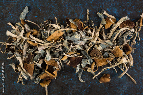 Dried psilocybin mushroom on blue background.