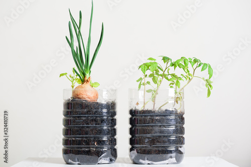 Plasstic bottles water DIY for planting vegetables plant and decoration at home, reuse and recycle concepts