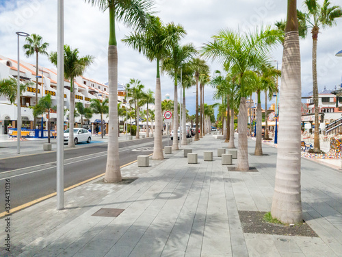Beautiful image of palm tree ally on the tropical island city street