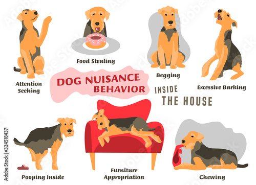 Dog Behavior Problems Icons Set