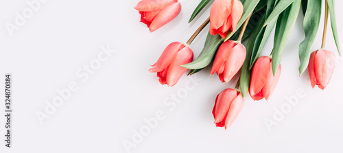 Pink tulips bouquet isolated on white background from above. Top view of red flower bud. Spring and easter greeting card design layout.
