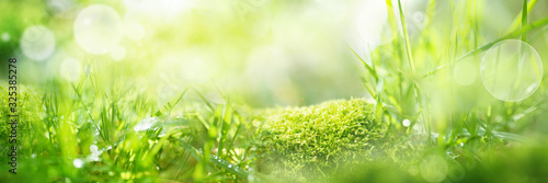 Meadow landscape with bright bokeh