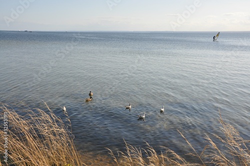 Ciepły, letni wieczór nad Zatoką Pucką, Hel, Polska