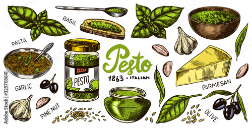 Pesto sauce set. Basil leaves, garlic, pine nuts, hard parmesan cheese, olive oil, pesto alla genovese. Spicy condiment, glass bottle, wooden spoon or dish, bunch of seeds. Engraved hand drawn sketch.