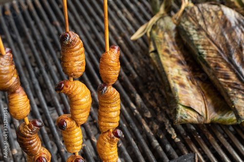 Edible palm weevil larvae (Rhynchophorus phoenicis) at traditional food market in Puerto Francisco de Orellana. Ecuador. Amazon.