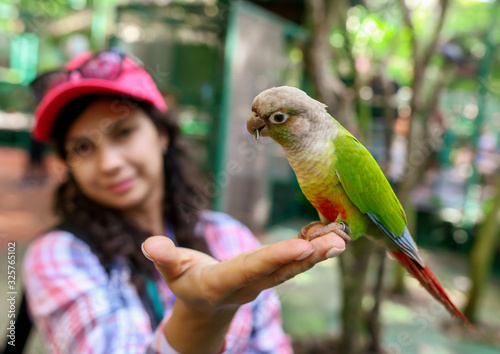 A parrot in the hands of a girl
