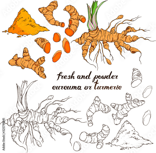 Vector set with hand drawn turmeric : root, slices, powder. Linear, line art and in realistic colors. Hand written lettering