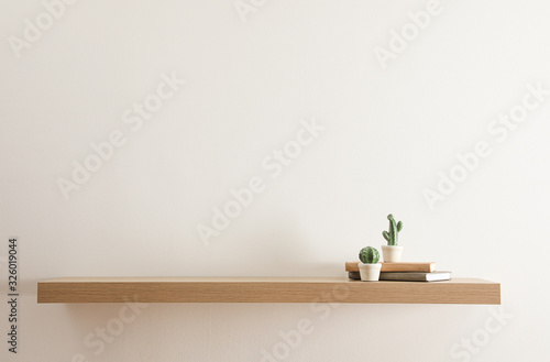 Wooden shelf with books and decorative cactuses on light wall