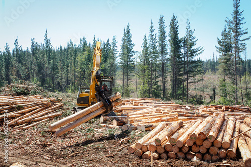 Logging Equipment