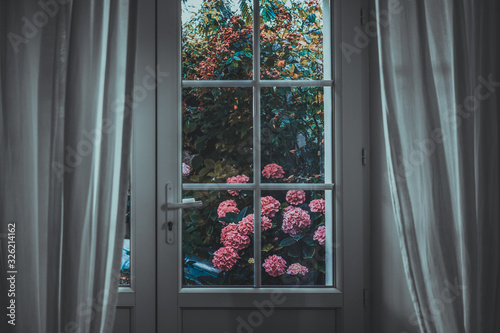 view of window with flowers