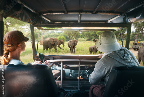 Couple young people watch wild elephants on safari tour in national park in Africa.