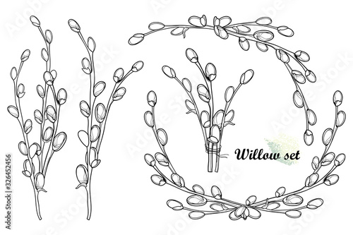 Set with outline Willow twigs and bunch in black isolated on white background. 