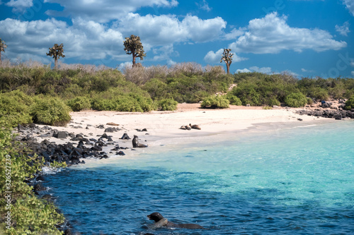 Primeval coastal landscapes on Santa Fe Island, with sea lions, marine iguanas and boobies, Galapagos Islands, Ecuador