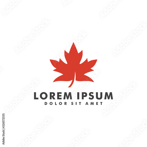 Maple leaf logo design vector illustration template