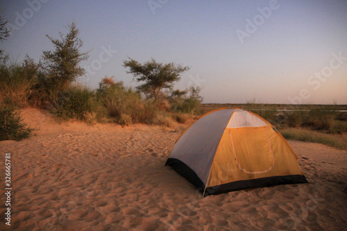 namiot rozbity na plaży obok krzewów w ciepły letni wieczór