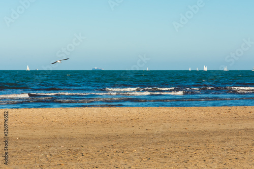 Valencia Beach (Malvarrosa) with a flying bird and boats