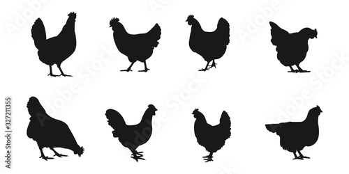 silhouettes of hen chicken. vector Illustration
