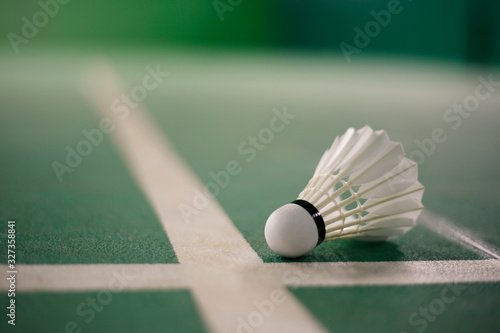 Badminton on the badminton green court