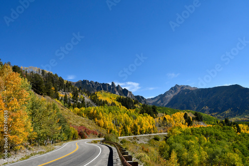 Aspens in the Fall