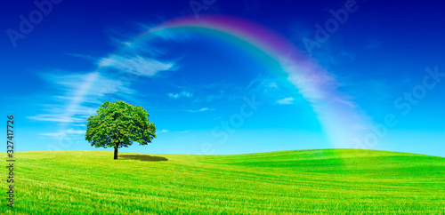 Idyll, panoramic view, lonely tree with rainbow on green field