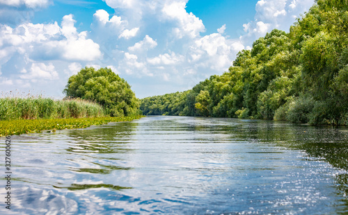 Wild birds paradise - River Danube in Romania - Delta, nature pure in a water world as seen from a boat.