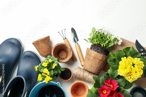 Flowers and gardening tools on white background, top view
