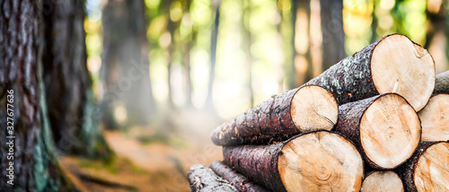 Log trunks pile, the logging timber forest wood industry. Wide banner or panorama wooden trunks