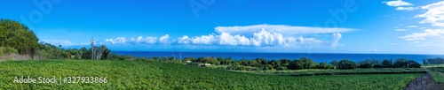 Panoramic view of a flowery landscape near the sea on the east coast of Big Island Hawaii
