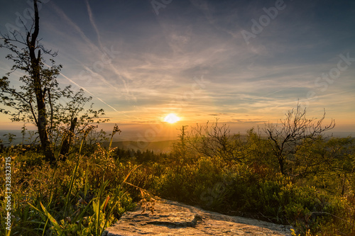 sunset in forest, Taunus in Hessen, Germany. beautiful warm sunset in nature