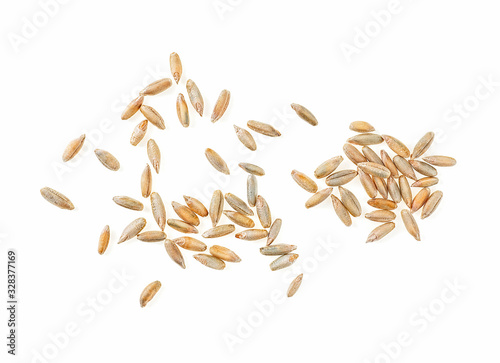 Closeup of rye grain isolated on a white background, top view.