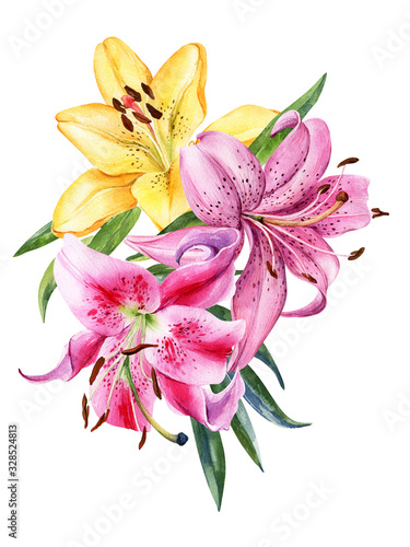 Bouquet of watercolor lily, red, pink, yellow, orange lilly flowers on an isolated white background, watercolor flower, stock illustration.