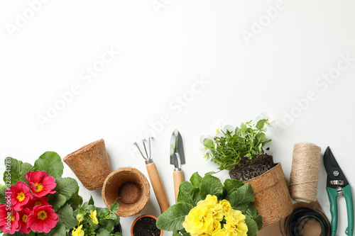 Flowers and gardening tools on white background, top view