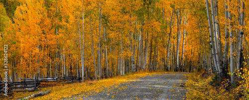 Panoramic view of scenic drive through colorful Aspen trees