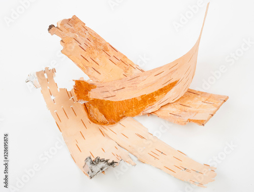 Birch bark on white background