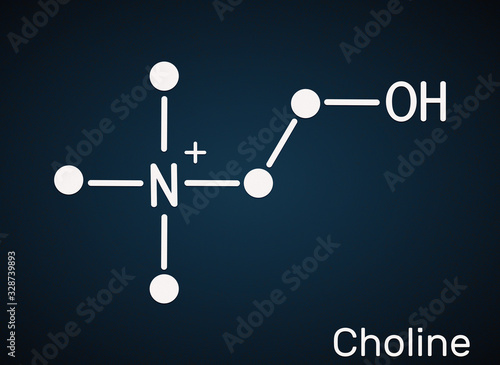 Choline, C5H14NO+ , vitamin-like essential nutrien molecule. It is a constituent of lecithin. Skeletal chemical formula