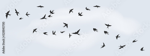 Flying birds silhouette. Flock of black marine birds, doves, seagulls or swallows for decoration, isolated black on white background. Vector freedom concept