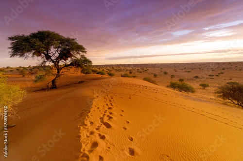  Sonnenuntergang in der Kalahari
