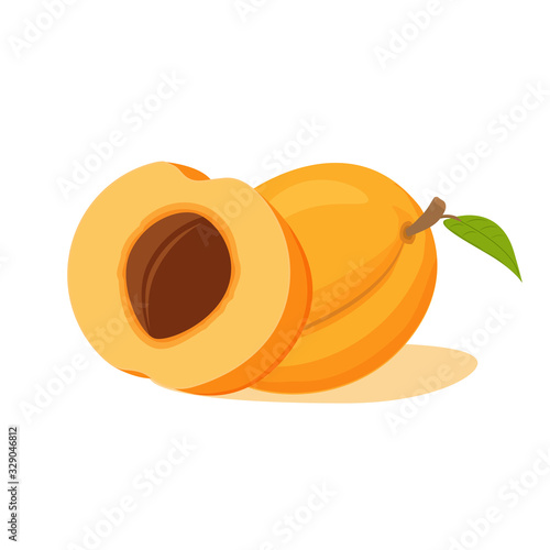 Fruit half apricot with a stone.Concept for vegan sites, eco food. Realistic ripe fruit vector illustration.