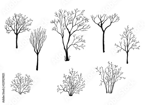 Set of different bare trees for your design. Ink on white background. Hand drawn illustration.