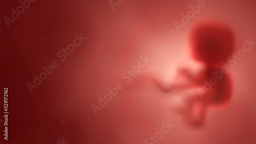 Blurred red human embryo in the womb, pregnancy and obstetrics