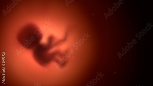 Blurred red human embryo in the womb, pregnancy and obstetrics