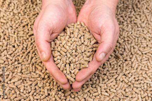 Hands holding granules of animal feed