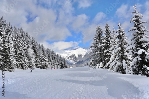 Empty ski slope with snowy trees