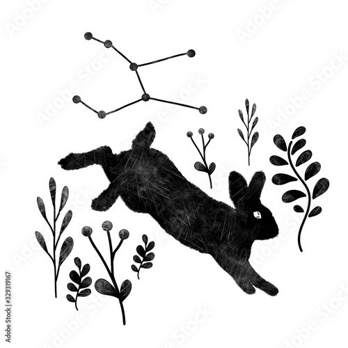 Cosmic animal. Hand drawn silhouette of Black rabbit in esoteric style. Constellations of wild rabbit with plants isolated on the white background