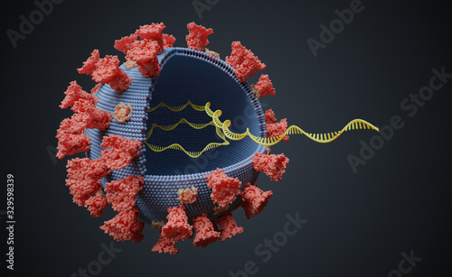 Virus with RNA molecule inside. Viral genetics concept. 3D rendered illustration.