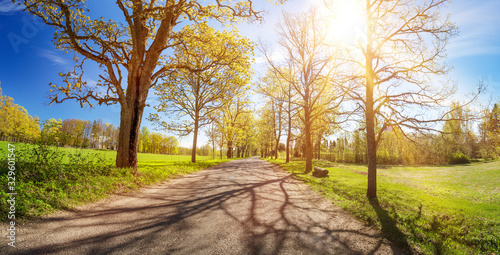 asphalt road panorama in countryside on sunny spring day