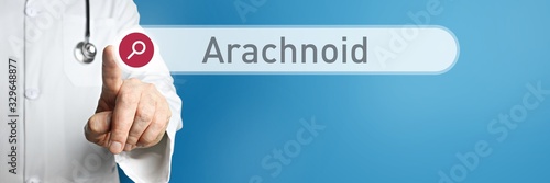 Arachnoid. Doctor in smock points with his finger to a search box. The word Arachnoid is in focus. Symbol for illness, health, medicine