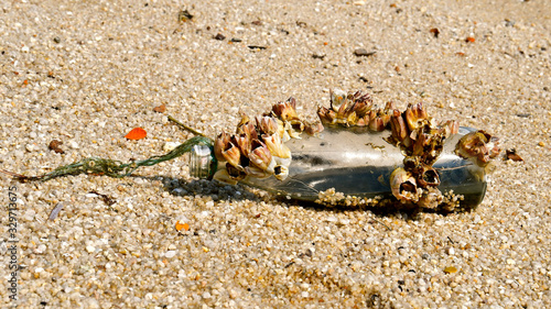 Barnacle covered bottle.